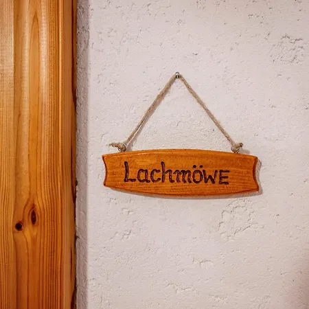 Fereinhof Paulsen - Lachmoewe * Pellworm
